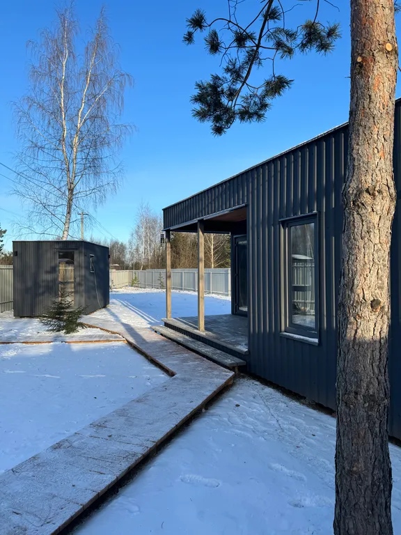 Уютный, небольшой сканди домик у леса