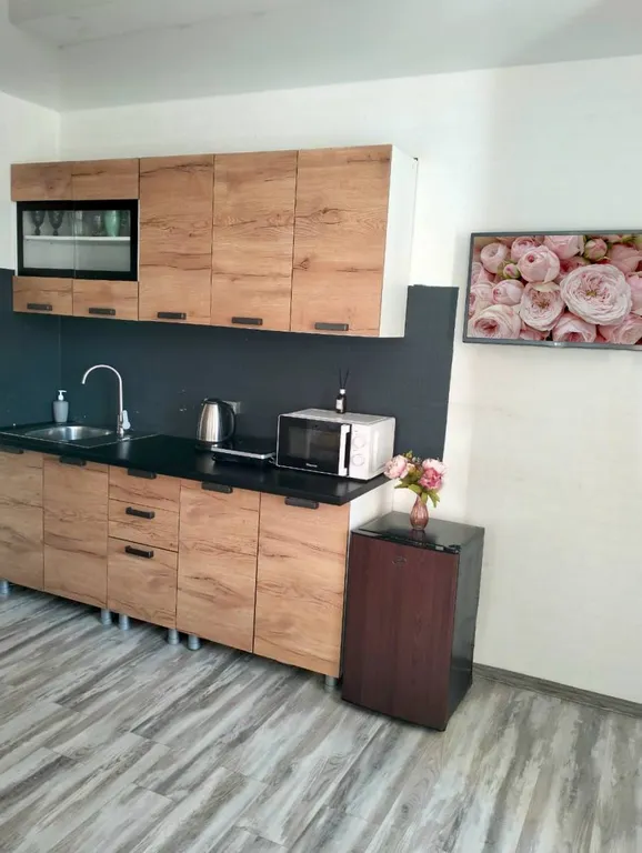 Студия Аквамарин в Олимпийском городке