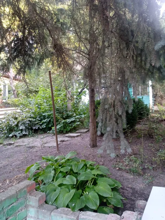 Уютный дом с видом на горы