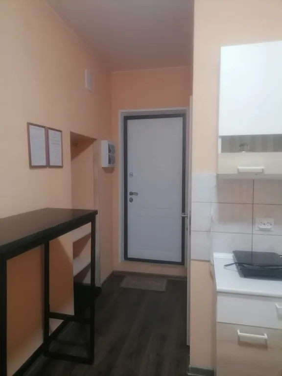 Студия двухместная