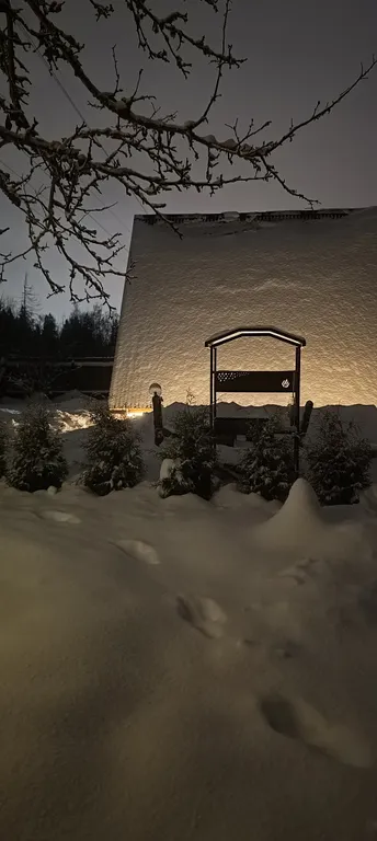 Уютный дом в лесной тиши