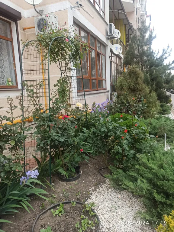 Квартира Комфортная квартира с видом на море — Геленджик