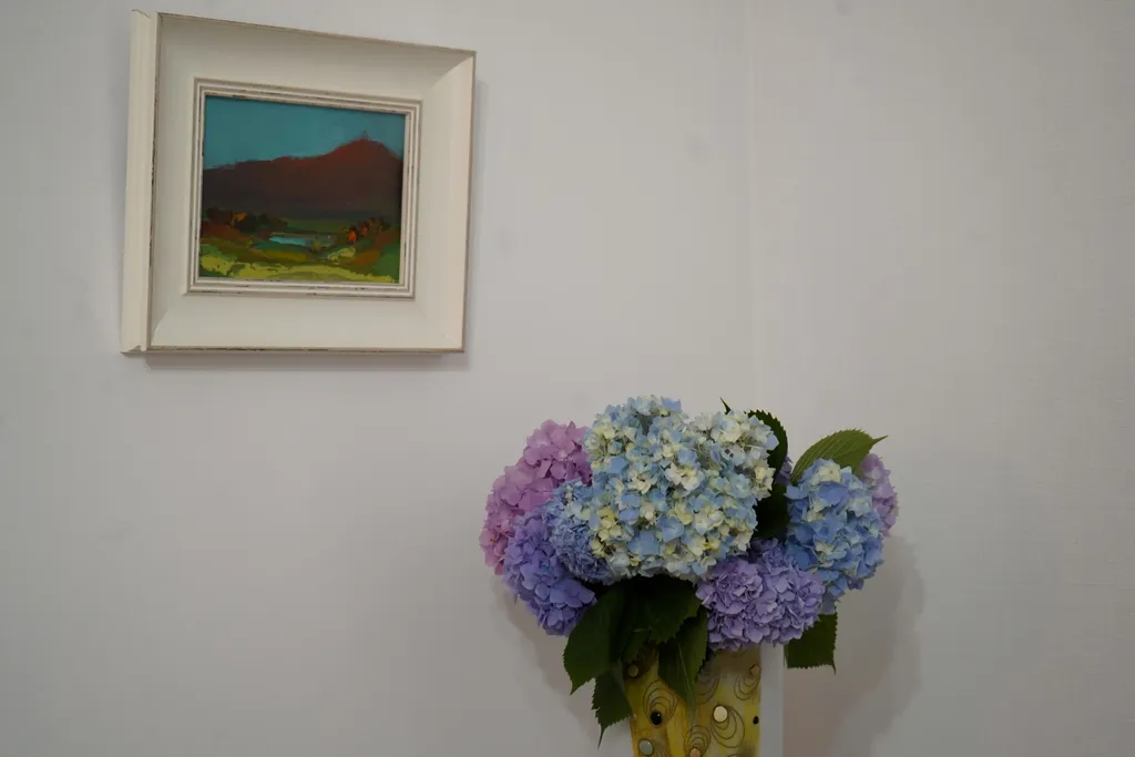 Квартира 1-комнатная Квартира — Сухум