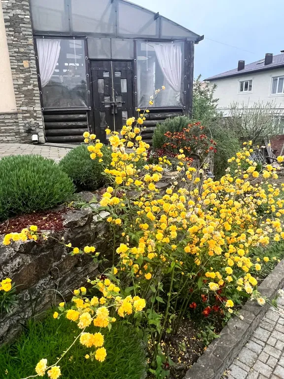 Эко домик лесника