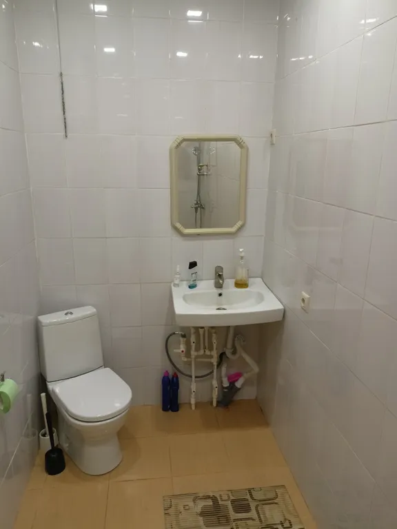 Загородный дом на окраине леса со всеми удобствами