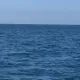 Олеся