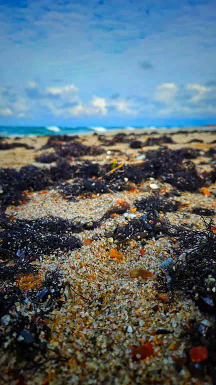 Барнс дача у моря