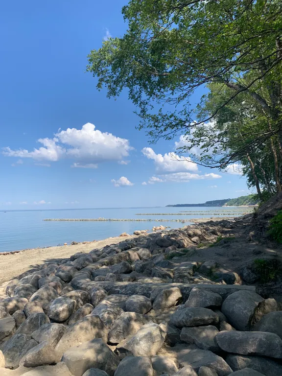 Квартира Квартира Апартамент у моря — Светлогорск