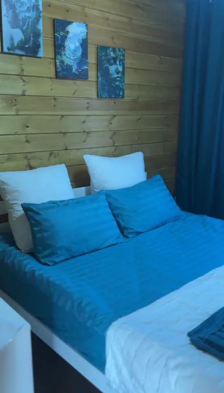 Дом с баней и горячей купелью на дровах