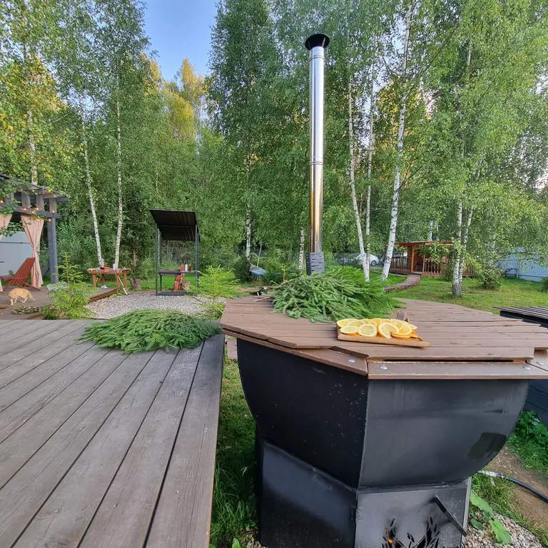 Дом с баней и чаном у леса