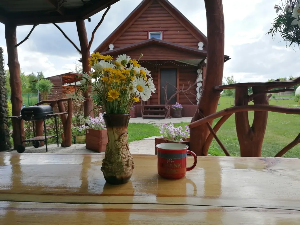 Загородный дом вдали от города