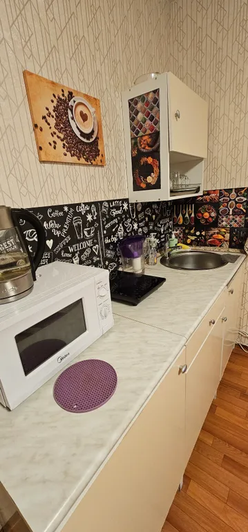 Уютная квартира с кухней студией