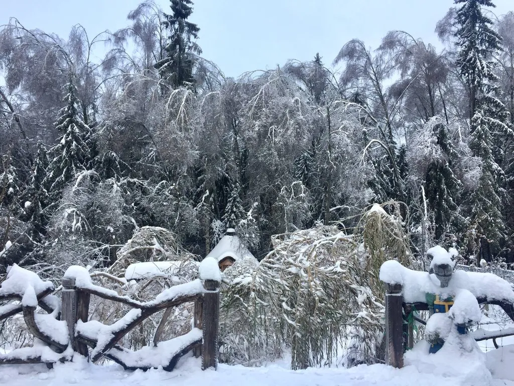 Уютный дом в сказочном лесу