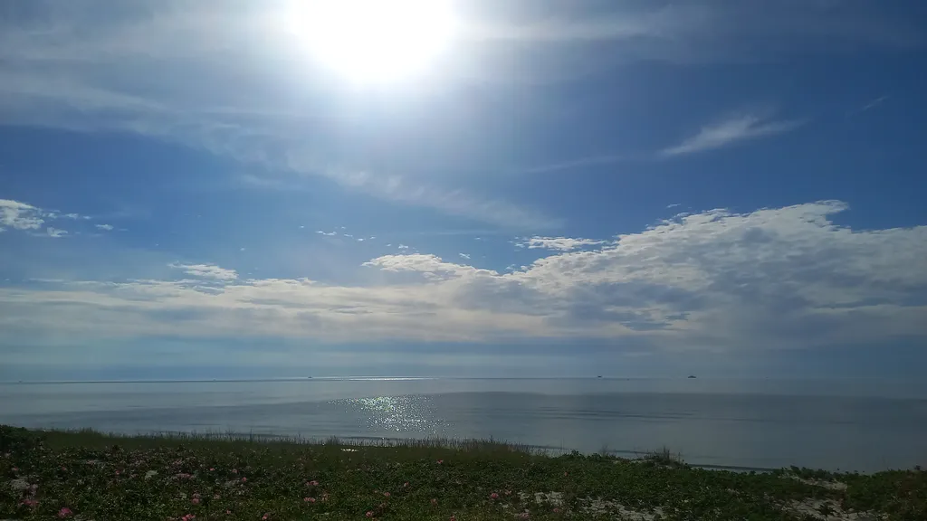 Квартира Уютная квартира в тихом районе Светлогорска — Светлогорск