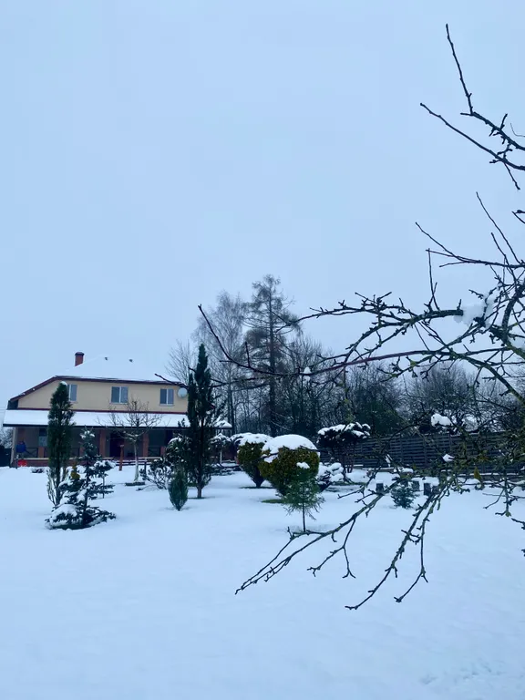 Коттедж Мечта