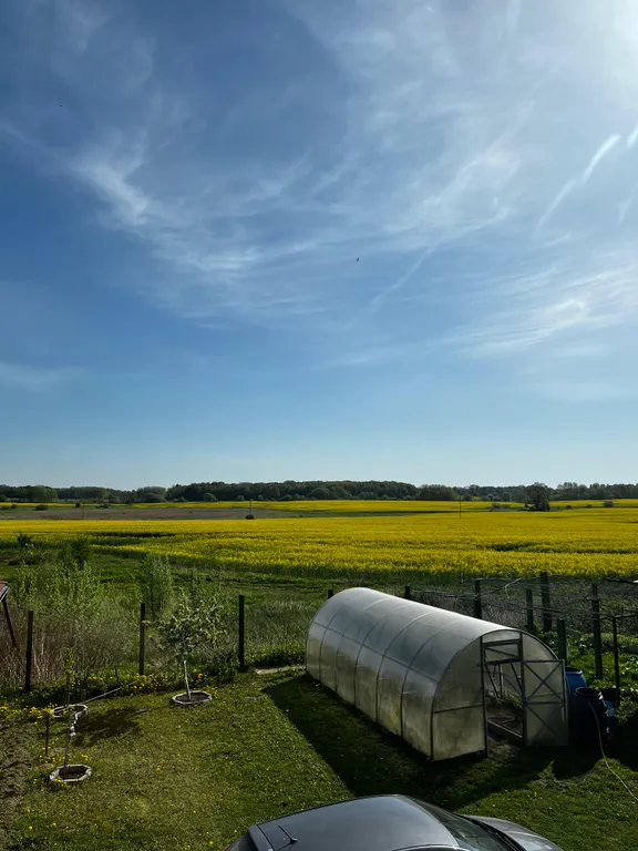 Дом с баней, джакузи и летним бассейном