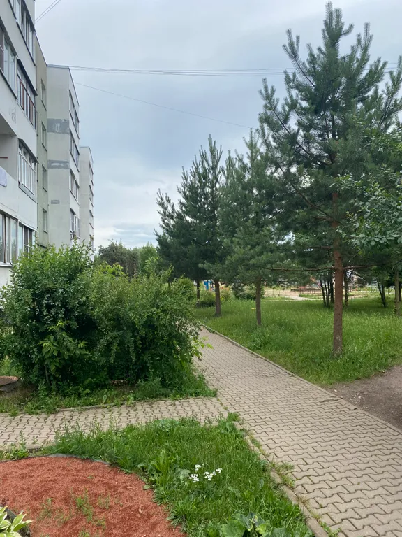 Уютная квартира в пригороде