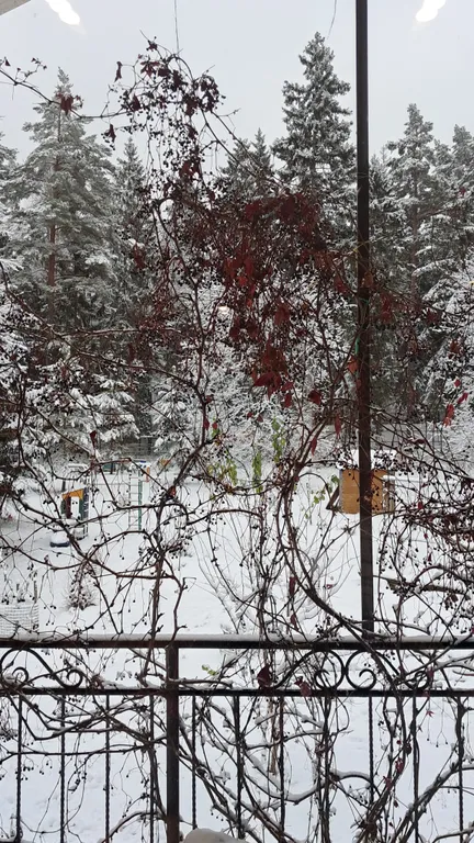 Коттедж Дом в лесу с баней и спортзалом — Горышкино