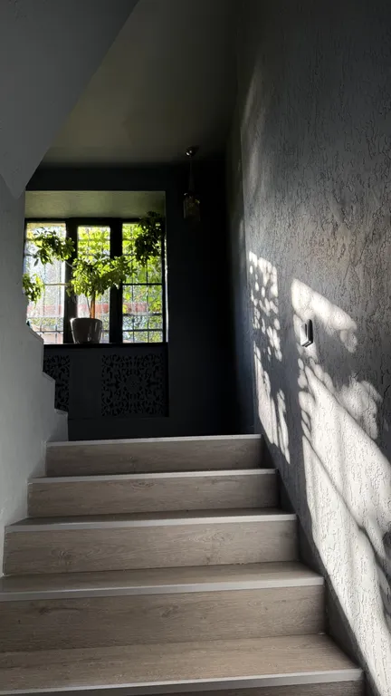 Эксклюзив - дом-сад у главной елки Ярославля, катка Советской площади