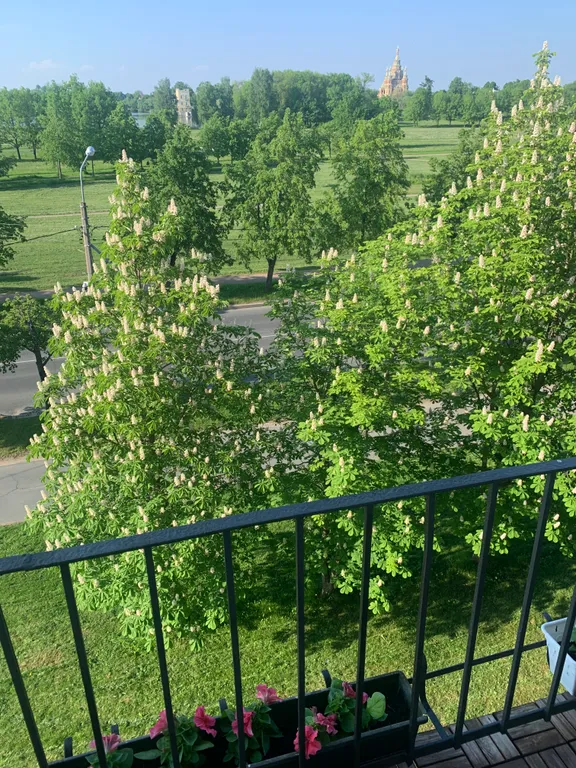 Квартира с видом в центре Петергофа