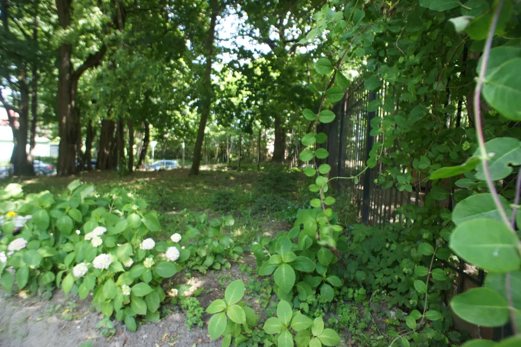 Квартира для большой семьи