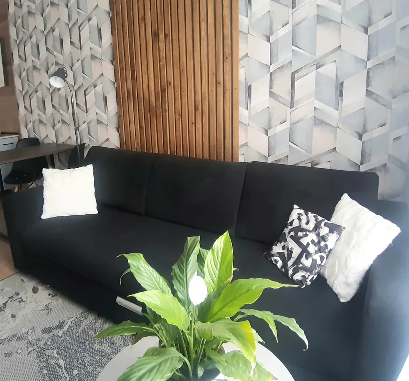 Уютная однокомнатная квартира