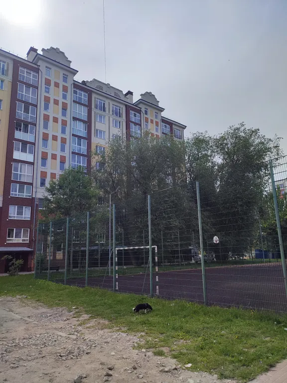 Квартира Уютная квартира на побережье — Зеленоградск