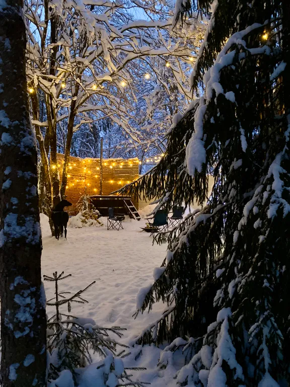 Коттедж Мой дом Валдай — аренда посуточно в Валдай