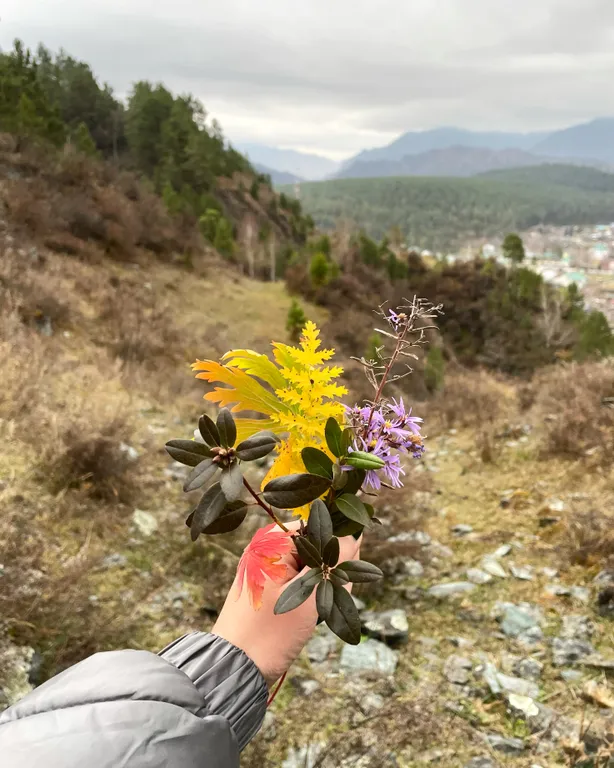 Студия на последнем этаже двухэтажного гостевого дома