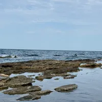 Сапият  Булатова