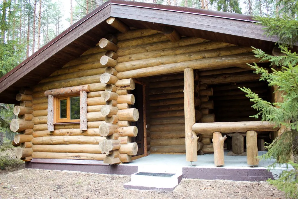 Коттедж Дом-баня — аренда посуточно в Петрозаводск