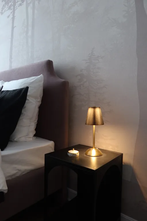 Люкс апартаменты в центре города