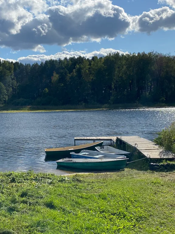 Большой дом для большой компании