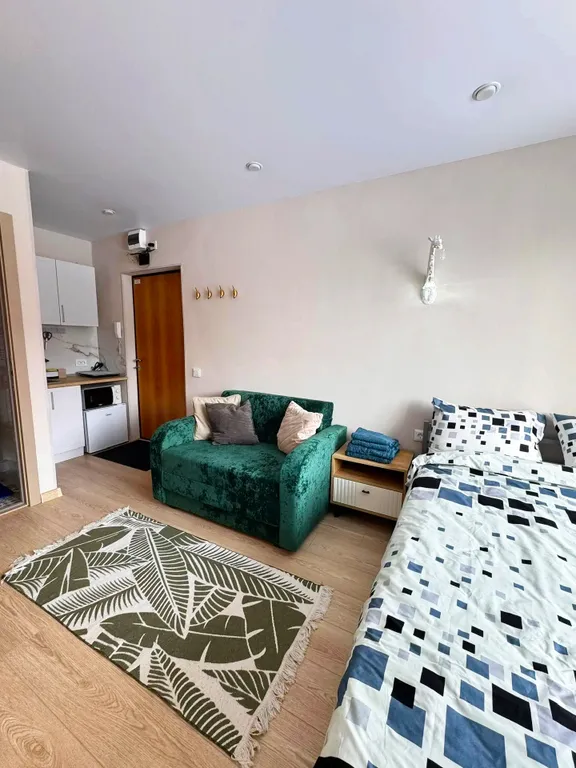 Стильная квартира-студия в исторической части города