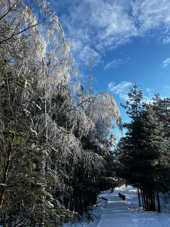 Апартамент на берегу Финского залива, 1 линия, Светлый мир внутри