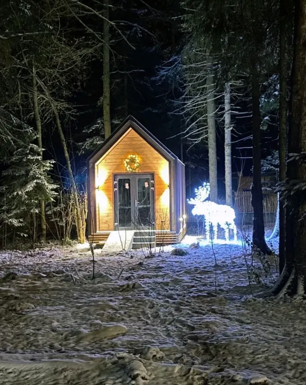 Барнхаус в лесу