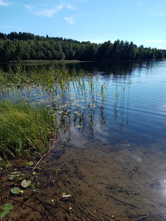 Эко дом Lavstep