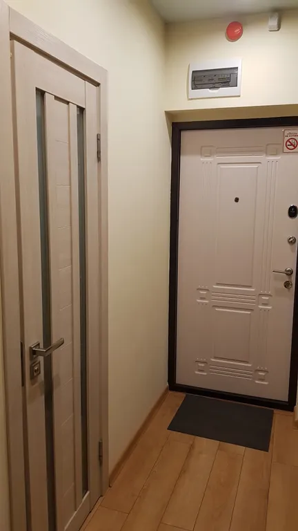 Квартира Квартира Apartment on Сhapaeva ecostyle — Петрозаводск