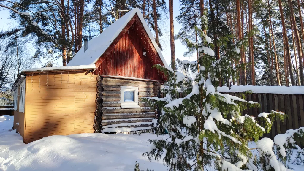 Коттедж Коттедж с баней, чаном и детской площадкой с батутом у озера, в бору — Ланино