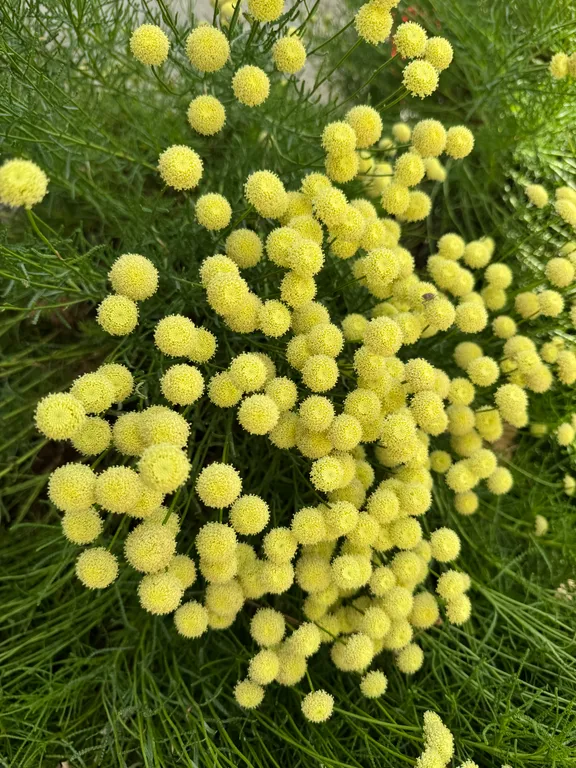 Квартира Двухместная комната 15 м2 — Судак