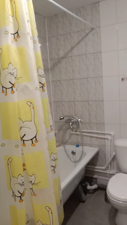 Уютная 1-ая квартира в коттедже