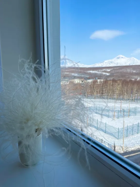 Уютная квартира с видом на вулканы