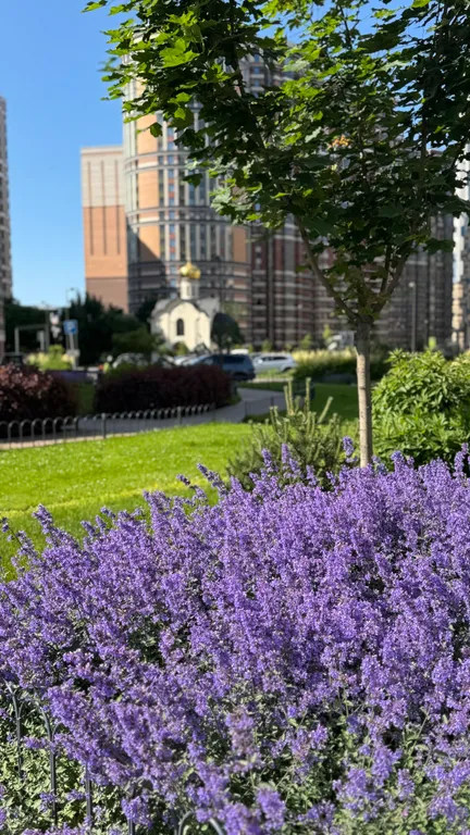Квартира Квартира Атмосферная евро-двушка у метро Пионерская — Санкт-Петербург