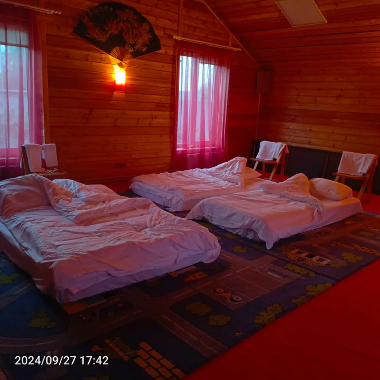 Большой дом для веселой компании