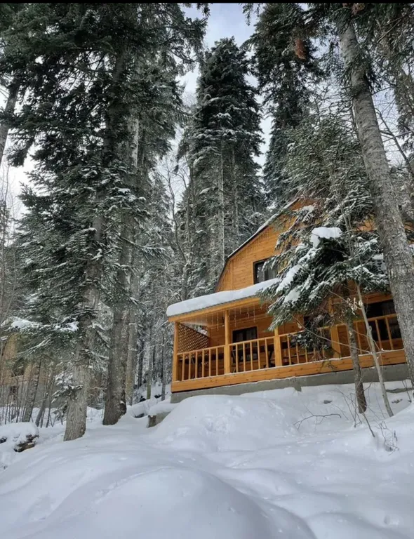 Уютный домик в лесу