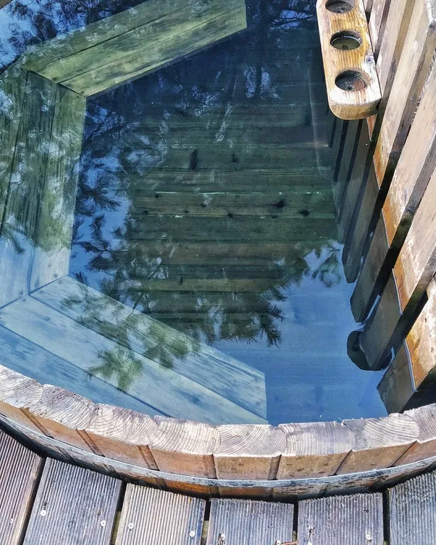 Дом у реки Волма в лесу