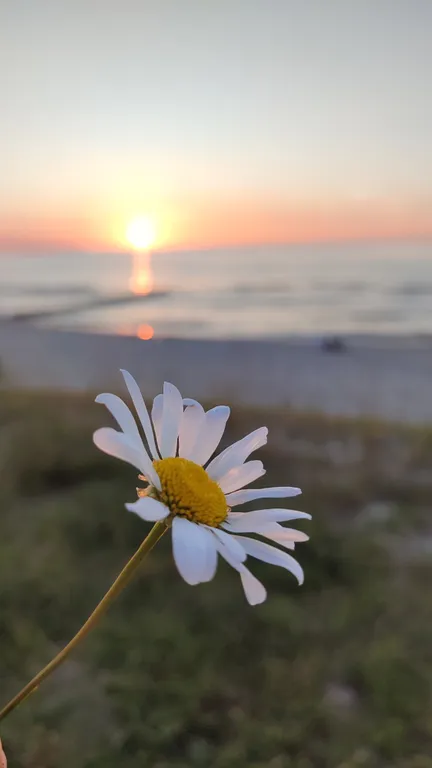 Атмосферные апартаменты у Балтийского моря