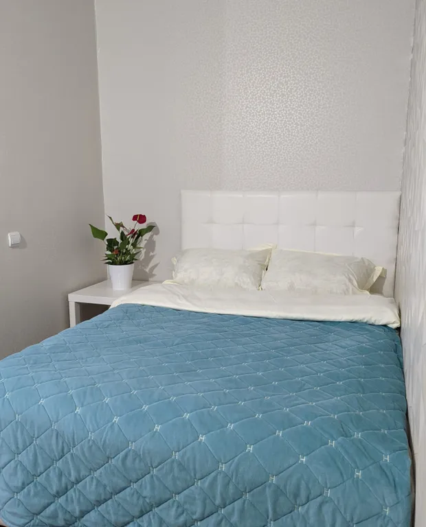 1-комнатная Квартира — аренда посуточно в Александров