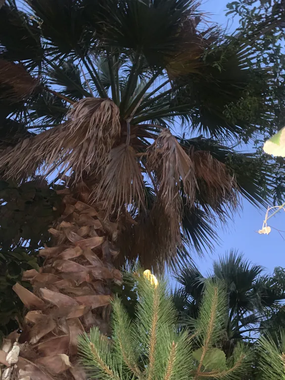 Квартира Комната — Адлер