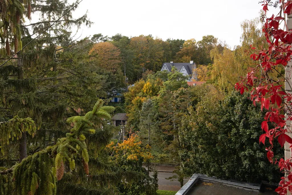 Pavlov "Рассвет" | Апартаменты с 2 спальнями